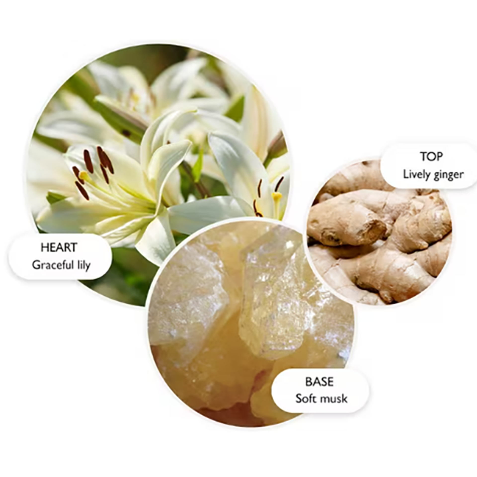 Heavenly Gingerlily Bath & Shower Gel 300 ml