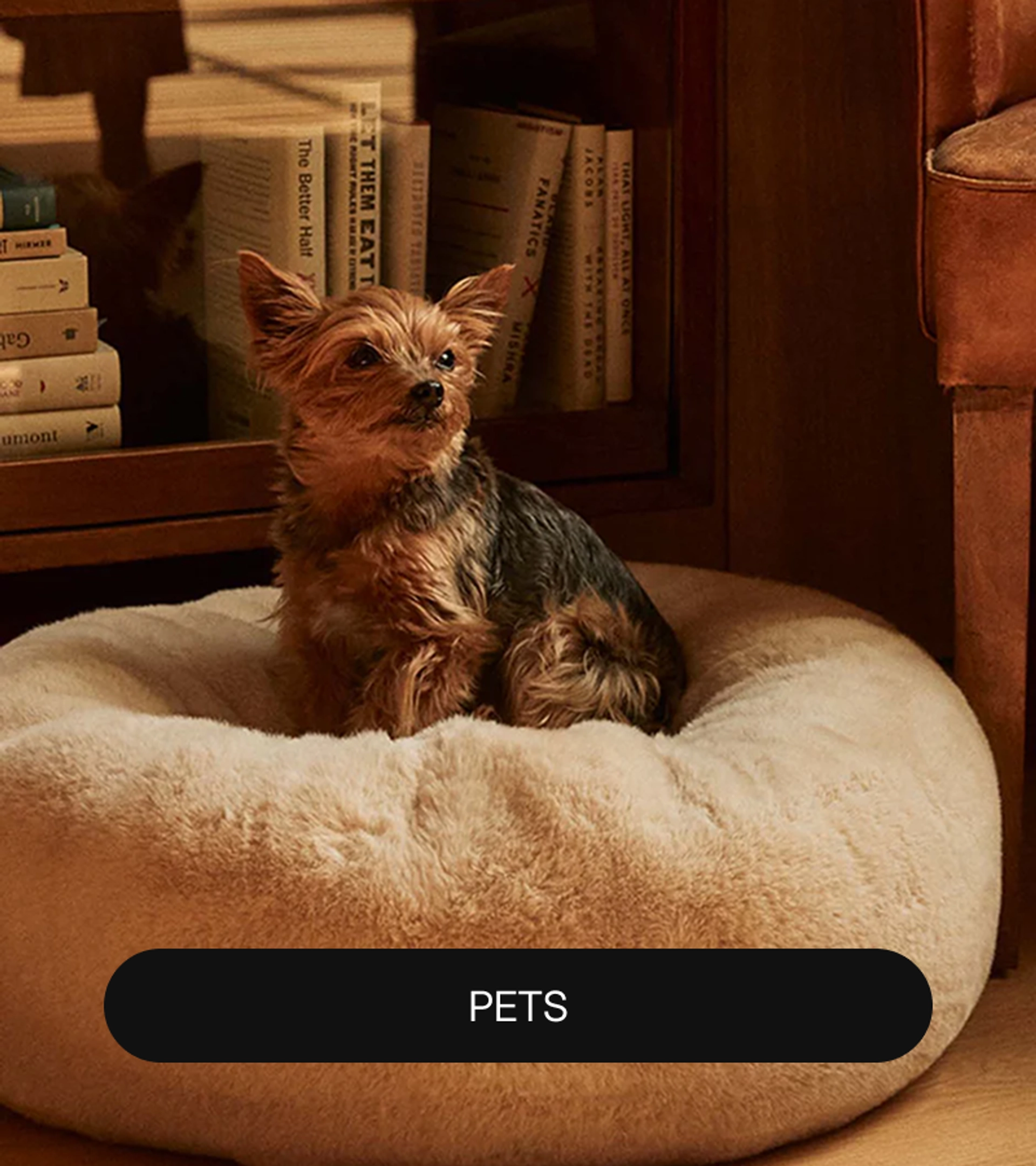 Yorkshire terrier sitting in a round cream UnHide pet bed in front of a bookcase and leather armchair, with a "Pets" label at the bottom.