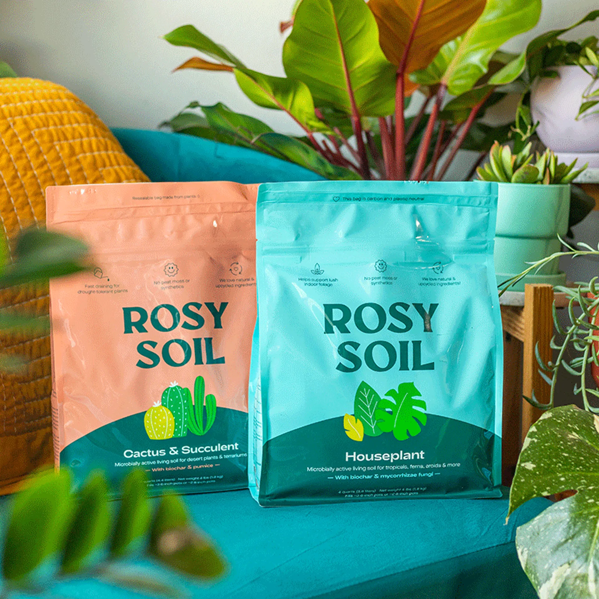 Rosy Soil